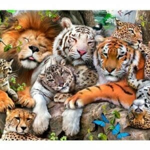 XL-Houten Legpuzzel –...