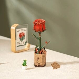 Bloem – Rode Roos –...
